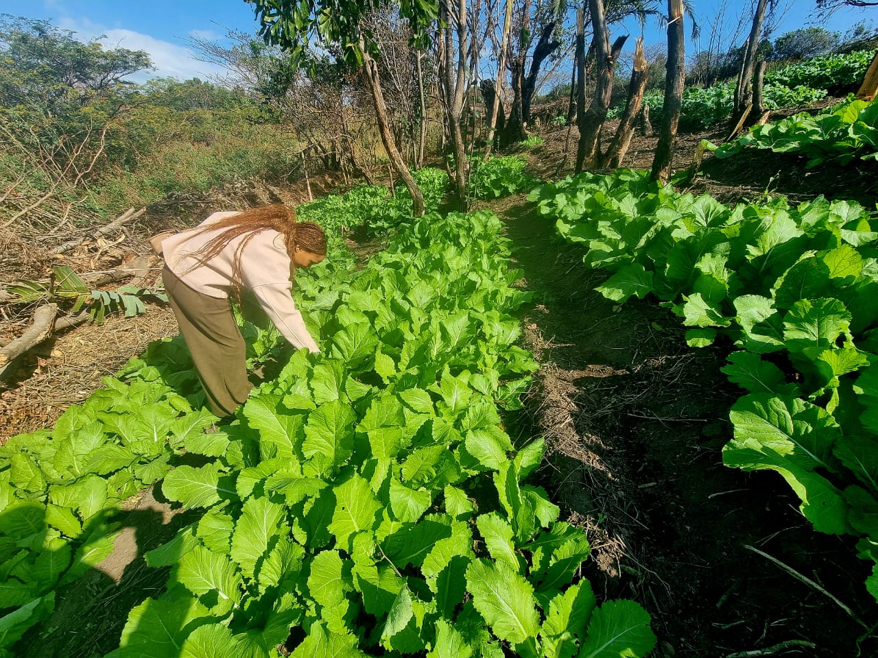 Volunteers setting up new garden plot