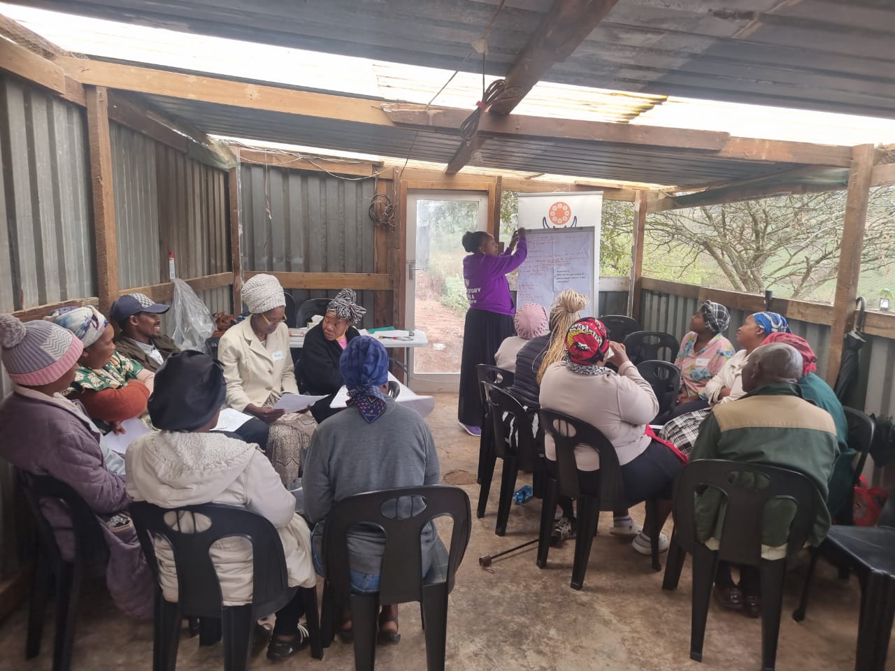 Volunteers harvesting vegetables